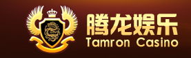 响应式大型电子企业集团类网站模板